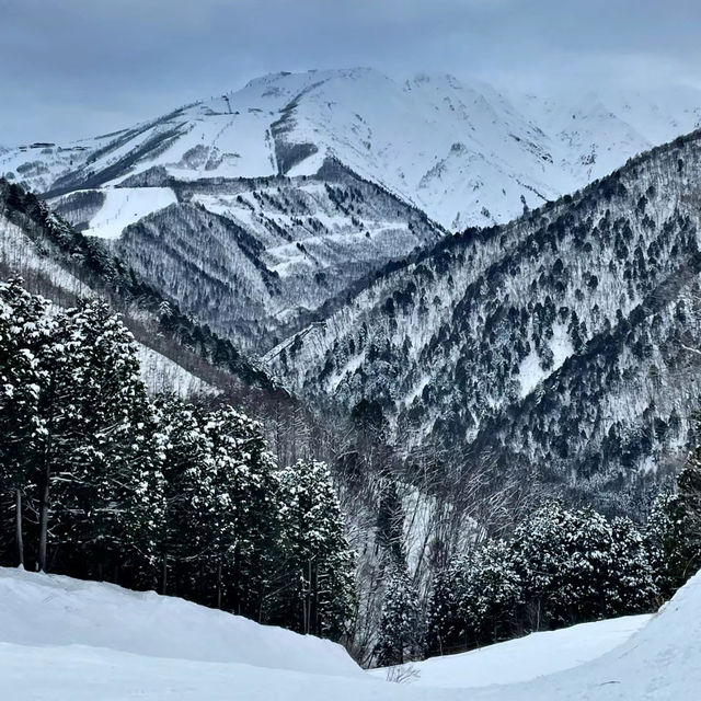 比羅夫滑雪場：冰天雪地