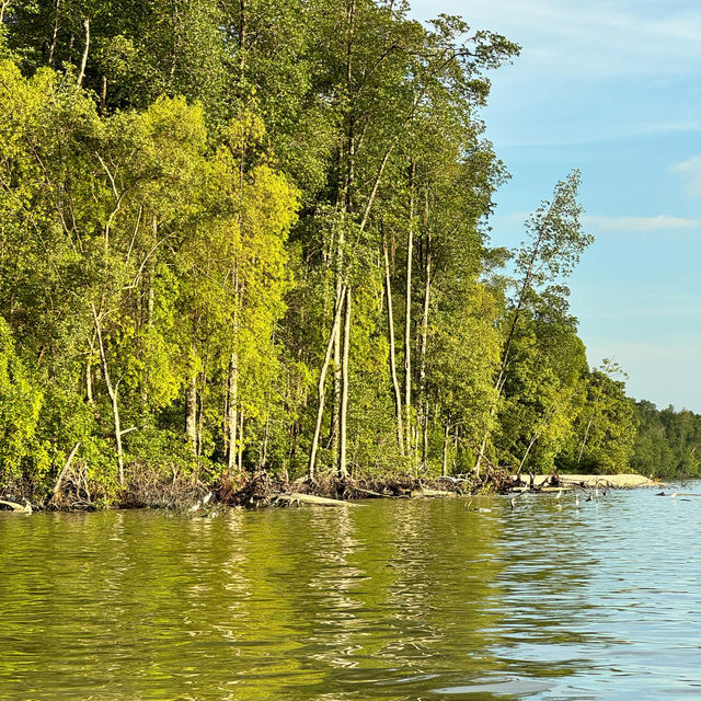 Hidden Charms of Perak and Kuala Sepetang