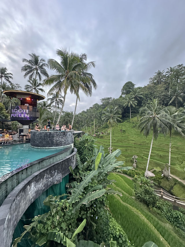 【烏布克里塔Cretya Ubud ，高級的俱樂部，對着梯田的景色！】