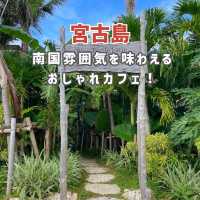【宮古島】南国風の超おしゃれカフェ☕️🌺🌴