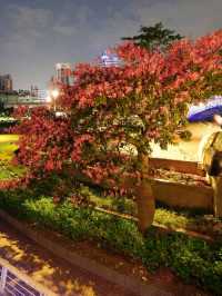 高雄 | 愛河之心的漂亮夜景