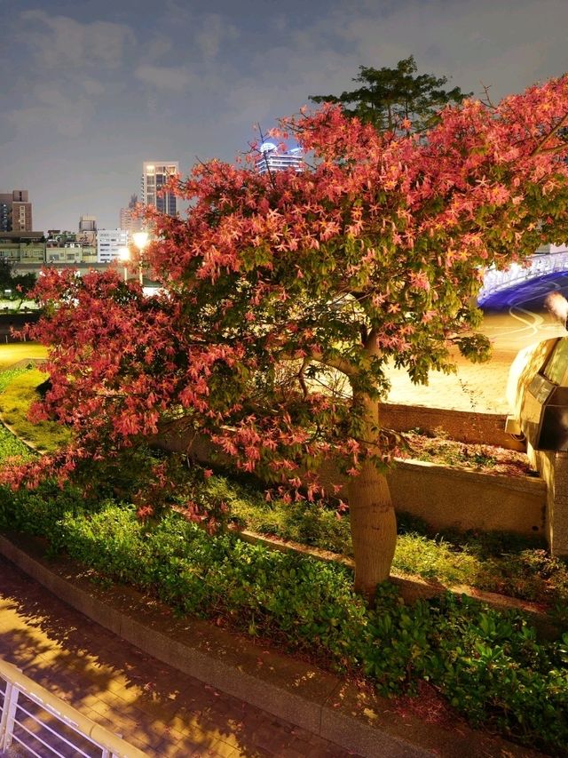 高雄 | 愛河之心的漂亮夜景
