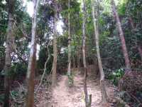 Bukit Malau Trailhead
