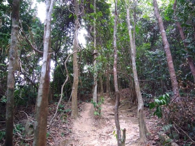 Bukit Malau Trailhead