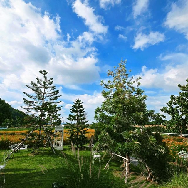 🏡 บ้านหลังน้อยท่ามกลางสวนดอกไม้ 