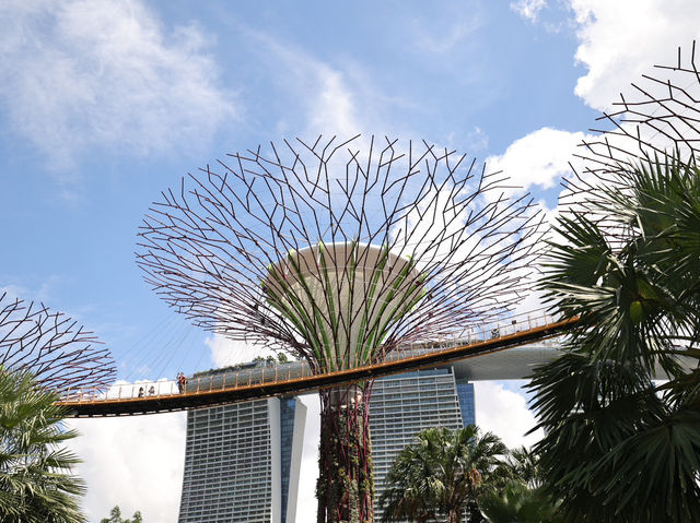 新加坡最多元化的景點 - 濱海灣花園