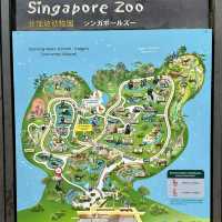 新加坡動物園-世界十大動物園，彷如走進熱帶雨林，近距離親親動物