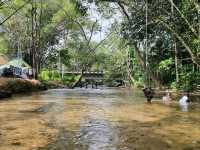 D Bamboo Park