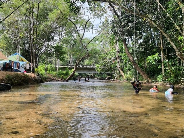 D Bamboo Park