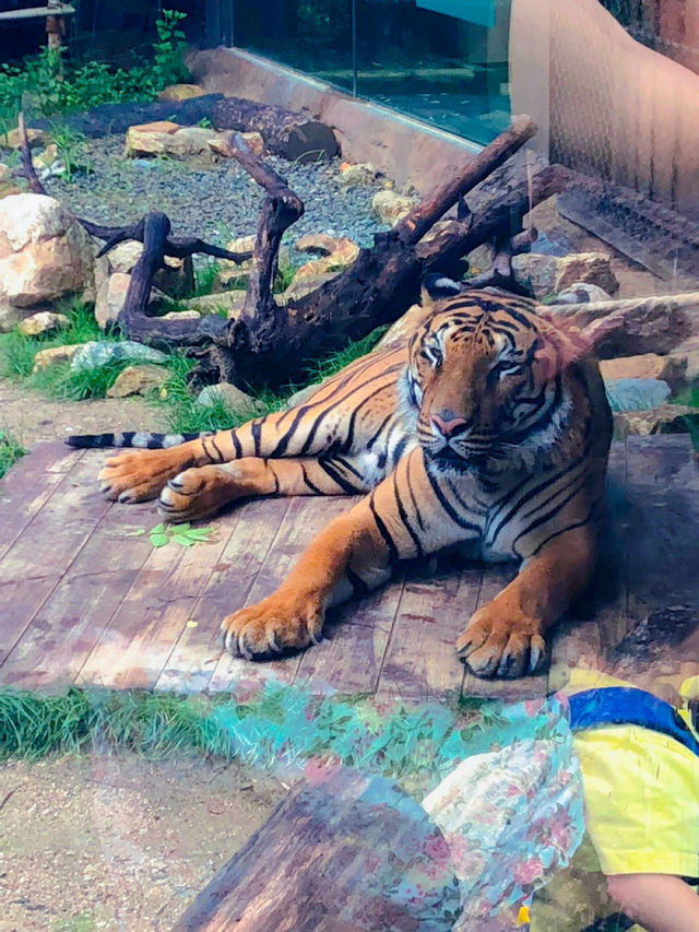단잠에 빠져버린 귀여운 동물들을 구경해보세요😍