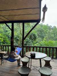 บ้านต้นไม้แม่แมะ | เชียงใหม่ 🏡⛰️🌧️🌿