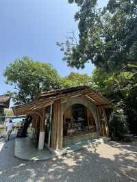 🍰🌻: Nature Garden Cafe