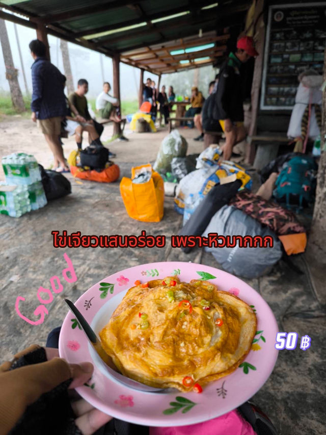 ภูสอยดาวครั้งแรก ! 2 วัน 1 คืน 