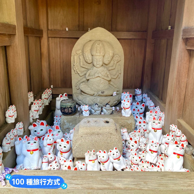 日本ㅣ東京ㅣ豪德寺ㅣ達願千貓神社/招財貓史祖