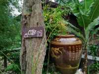 Thrilling Adventure in Gopeng: White Water Rafting and Rainforest Retreat