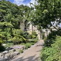 Museum Gardens