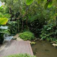 Proudphufah Chiangmai ที่พักบรรยากาศป่าในเมือง
