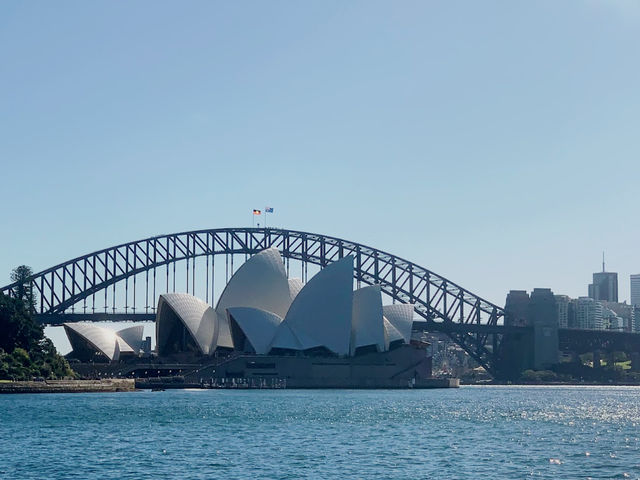 Royal Botanic Garden Sydney