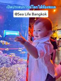 ชวนเที่ยว Sea Life Bangkok