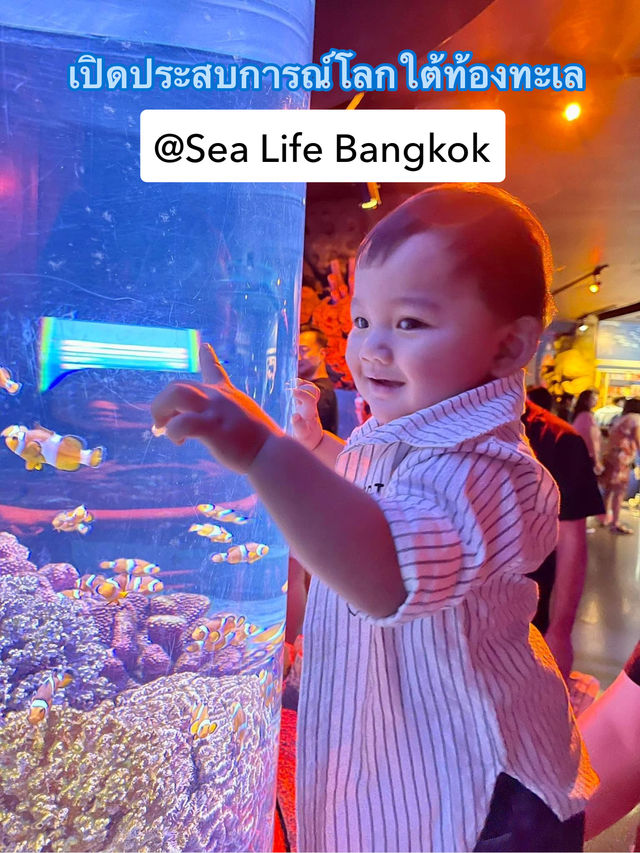 ชวนเที่ยว Sea Life Bangkok