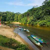 Jungle Trekking for the Adventurous Backpacker