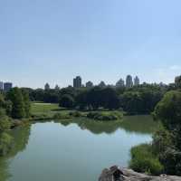 Urban Oasis: A Perfect Day in Central Park