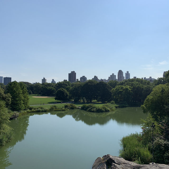 Urban Oasis: A Perfect Day in Central Park