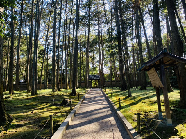 唐招提寺
