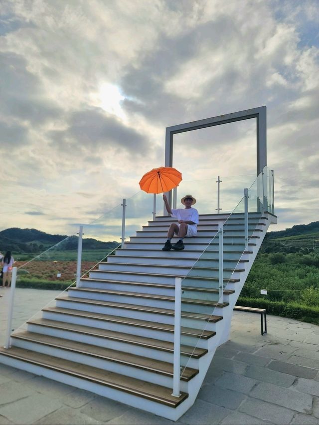 가을 프사 바꾸러 가야할 댑싸리공원🧡