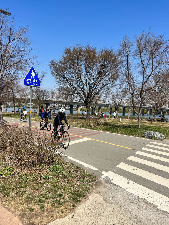 【ソウル／汝矣島】漢江公園でのんびりお散歩