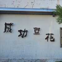台東台11線必吃美食〔成功豆花〕