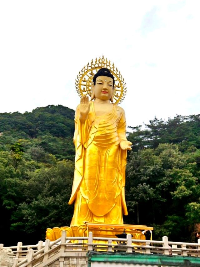 늦여름 시원한 속리산 법주사로 떠나요!