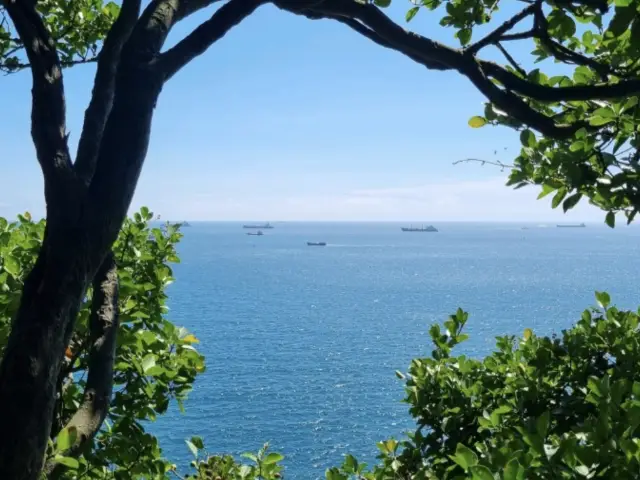 【韓國】漫步釜山的大自然