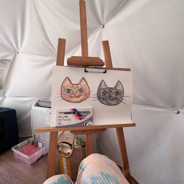 พาน้องแมวมานอนเต็นท์ 🐈‍⬛ 