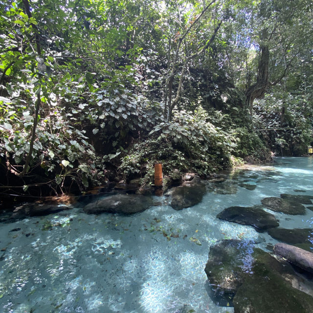 Crystal Spring Water Bathing 🩵