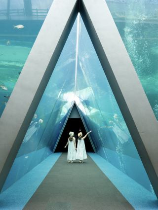[ฟุกุชิมะ] 6 สถานที่ที่คุณอยากไปเยี่ยมชมในฤดูร้อนที่ฟุกุชิมะ