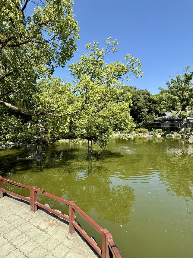 【福岡県】九州の玄界灘を守護する神社