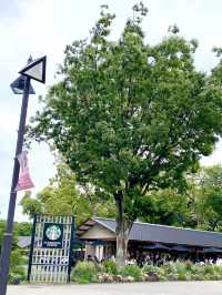 《🇯🇵 東京上野恩賜公園悠閑景點推介🌟》