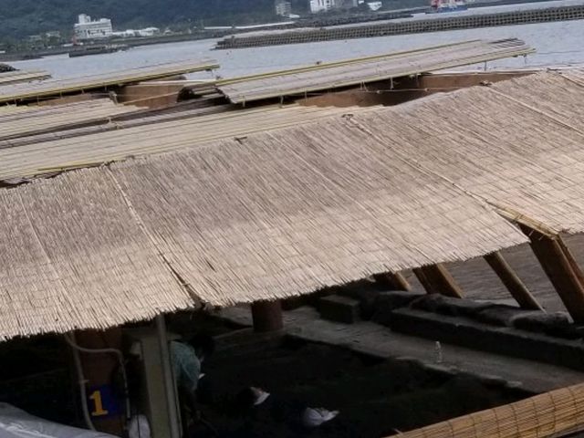 【鹿児島】白黒電車「いぶたま」で行く！イーブイ大好き指宿温泉
