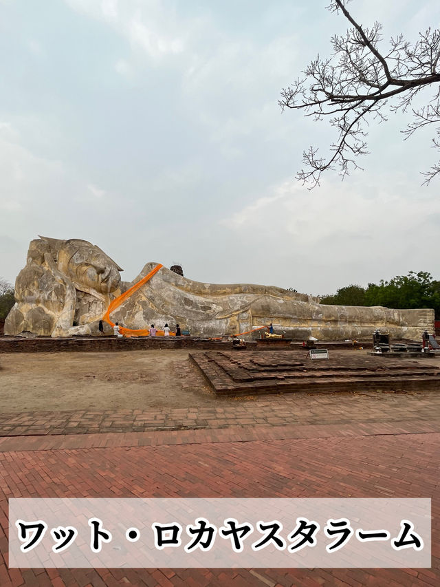 【タイ🇹🇭】 半日で回れる世界遺産‼️「アユタヤ遺跡」