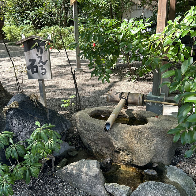 【大阪/天王寺】一生に一度願いが叶う⛩️