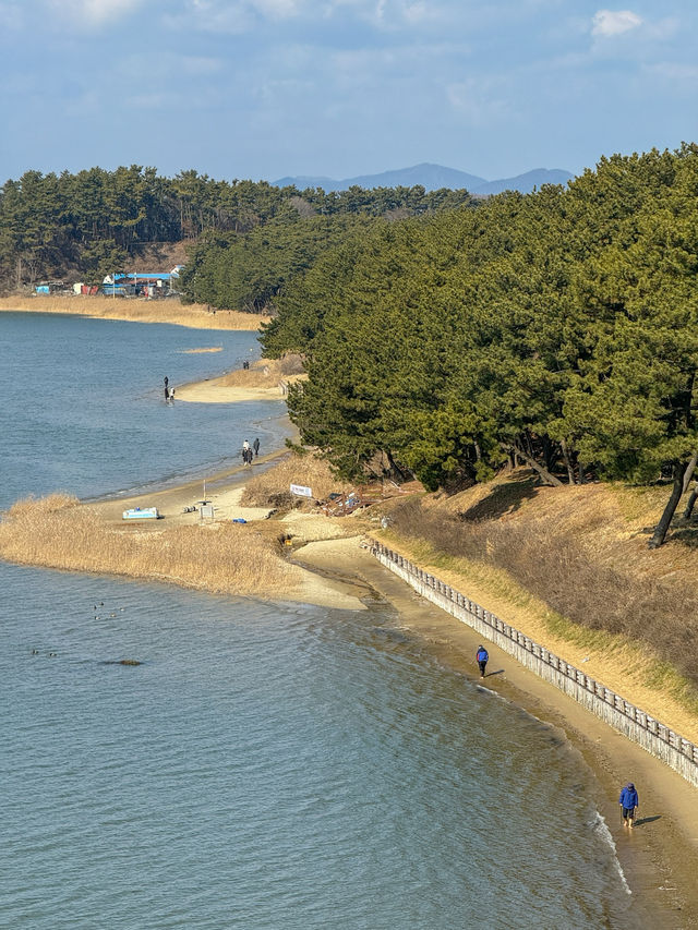 산책하며 멋진 바다와 숲 풍경을 즐길 수 있는 곳