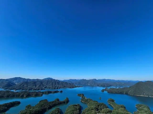 대미산 악어봉 티켓 할인, 운영 시간, 후기 [2025년] | Trip.com