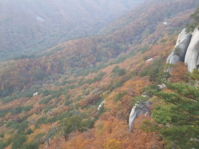 Siz kimga xiyonat qilyapsiz?