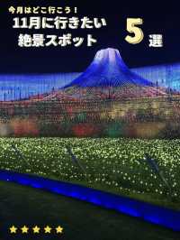 【紅葉🍁もイルミも見頃到来！】11月に行きたい全国の絶景スポット５選✨