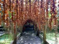 วัดป่าภูปัง : อุบลราชธานี