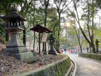 Pathways to Purity: Exploring the Timeless Trails of Fushimi Inari