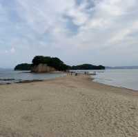 【四国旅行】　お勧めガイド5選