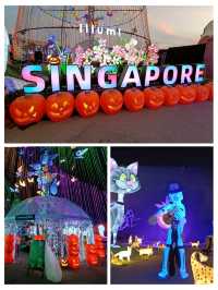 Night dazzle in Singapore 