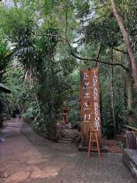 เที่ยวน้ำตก เล่นzipline ที่ลาวใต้